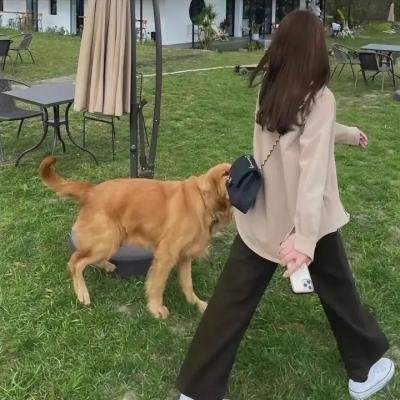 那年那兔那些事第三季